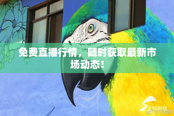 免费直播行情，随时获取最新市场动态！