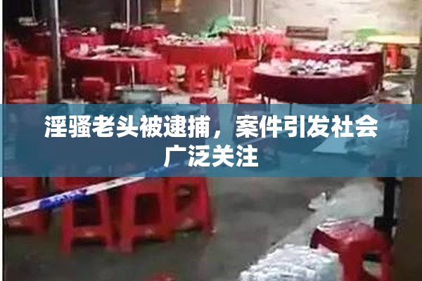 淫骚老头被逮捕，案件引发社会广泛关注