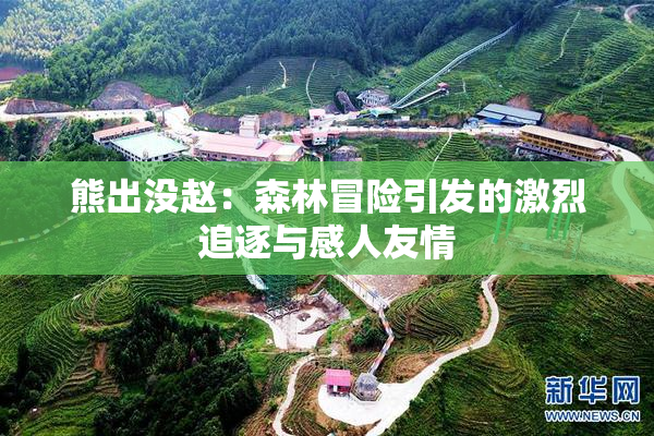 熊出没赵：森林冒险引发的激烈追逐与感人友情