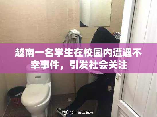 越南一名学生在校园内遭遇不幸事件，引发社会关注