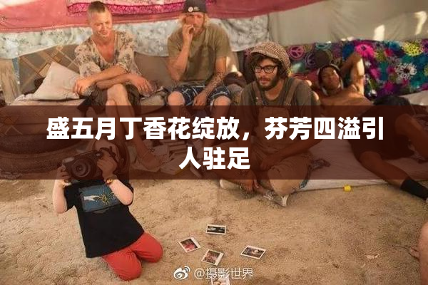 盛五月丁香花绽放，芬芳四溢引人驻足