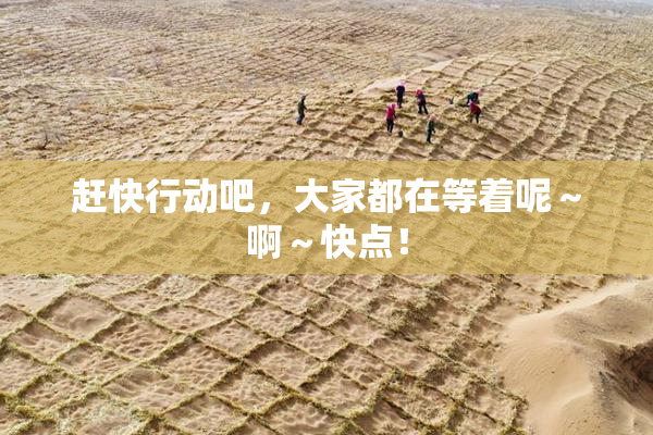 赶快行动吧，大家都在等着呢～啊～快点！