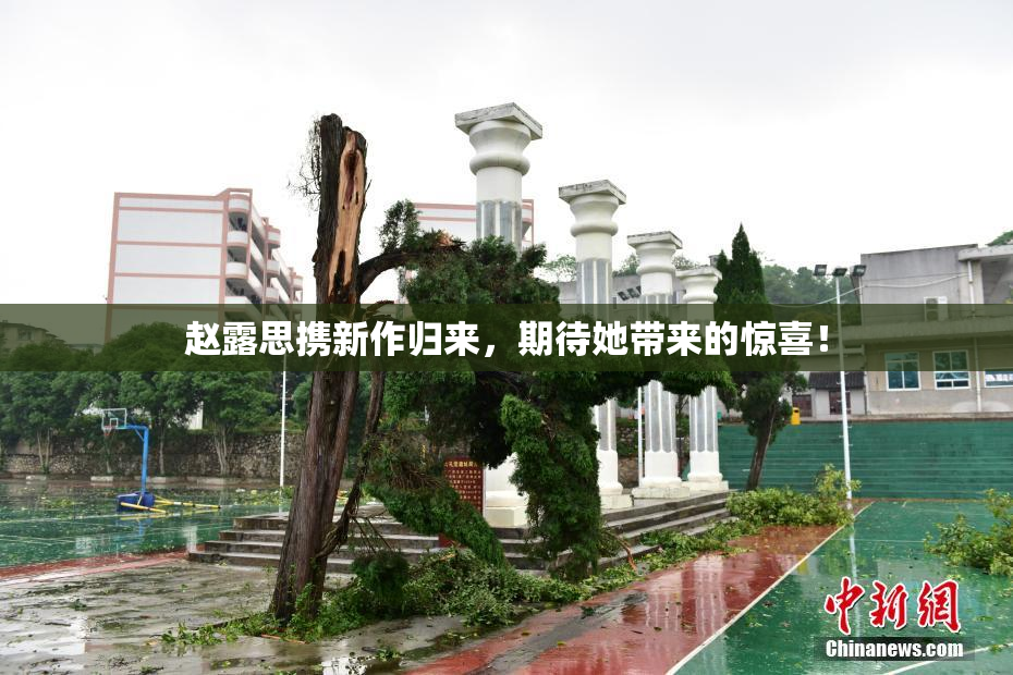 赵露思携新作归来，期待她带来的惊喜！