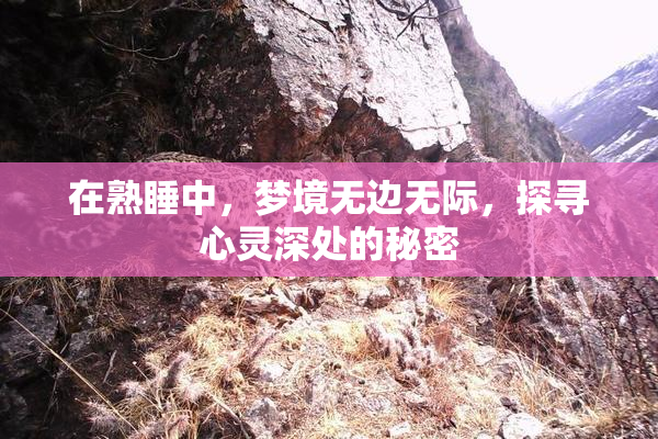 在熟睡中，梦境无边无际，探寻心灵深处的秘密