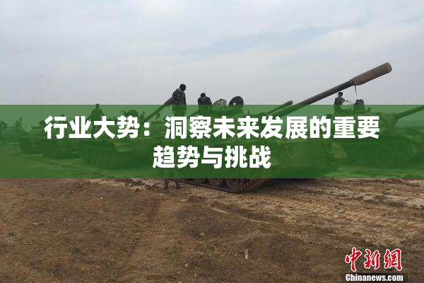 行业大势：洞察未来发展的重要趋势与挑战
