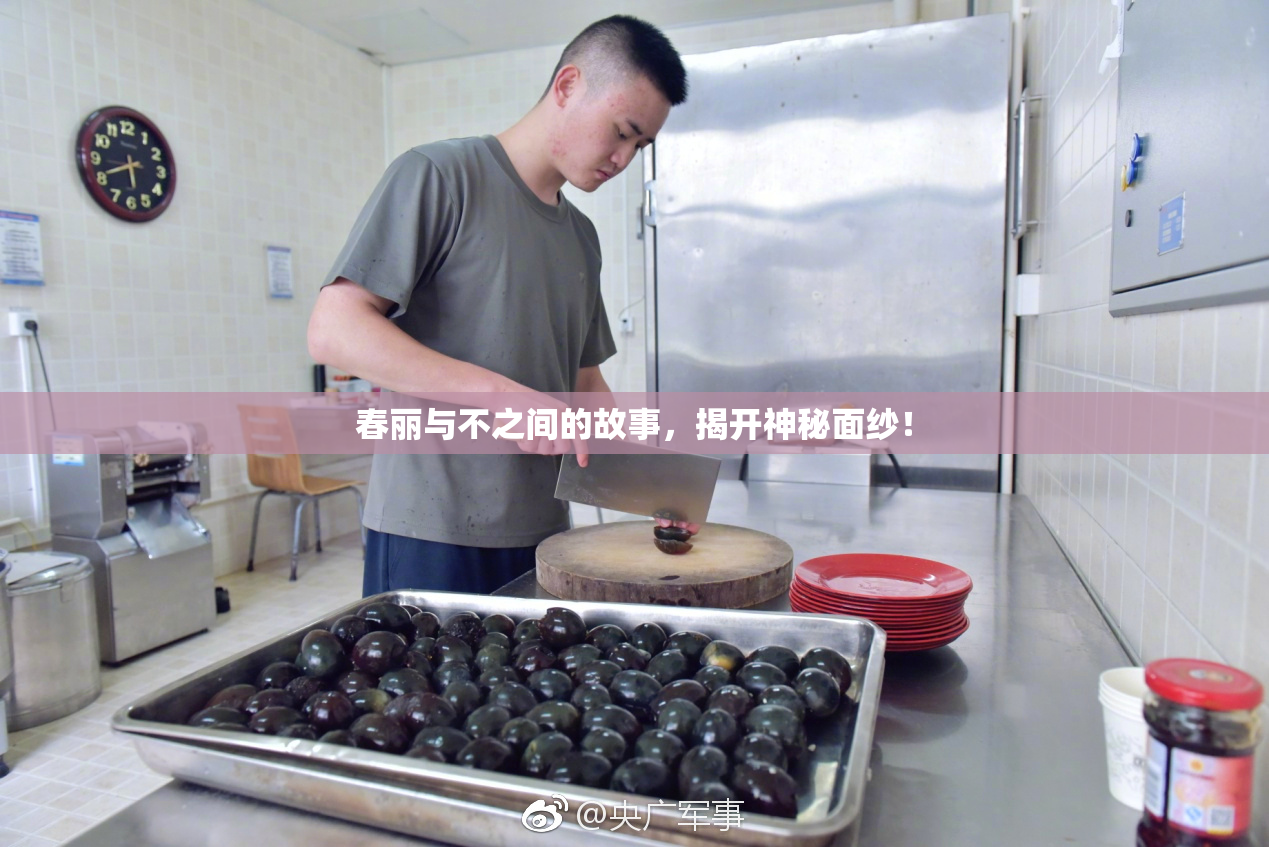 春丽与不之间的故事，揭开神秘面纱！