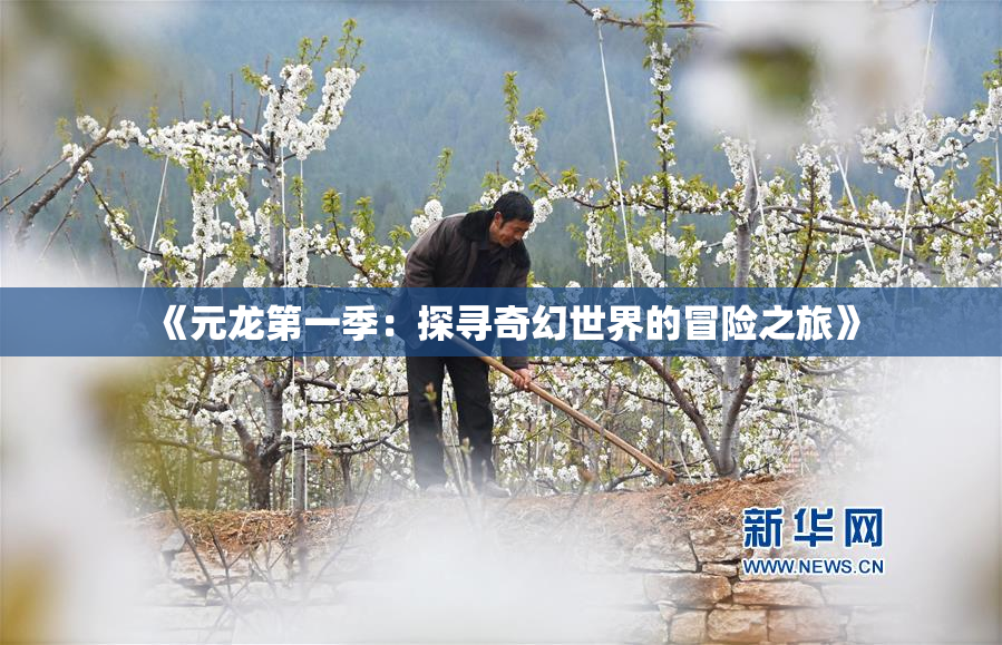 《元龙第一季：探寻奇幻世界的冒险之旅》