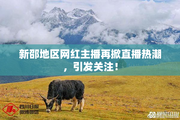 新邵地区网红主播再掀直播热潮，引发关注！