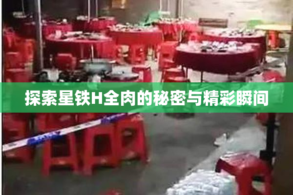 探索星铁H全肉的秘密与精彩瞬间