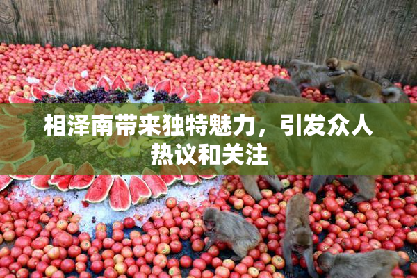 相泽南带来独特魅力，引发众人热议和关注