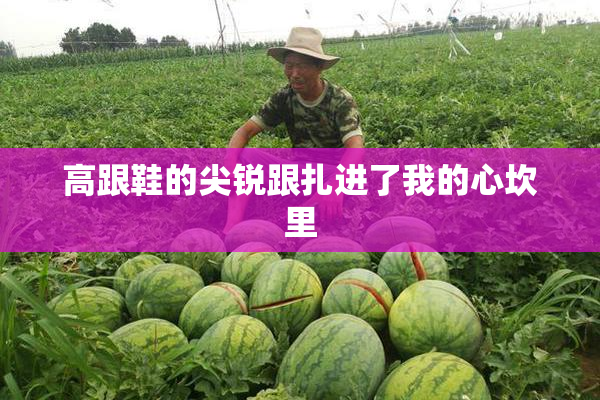 高跟鞋的尖锐跟扎进了我的心坎里