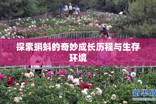 探索蝌蚪的奇妙成长历程与生存环境