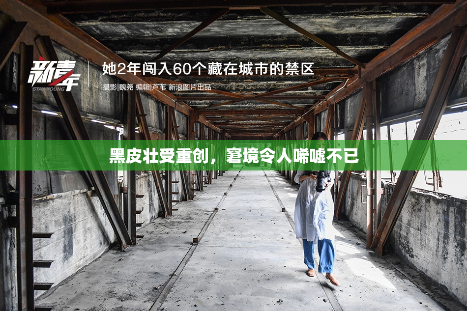 黑皮壮受重创，窘境令人唏嘘不已
