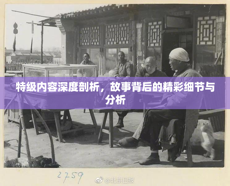 特级内容深度剖析，故事背后的精彩细节与分析