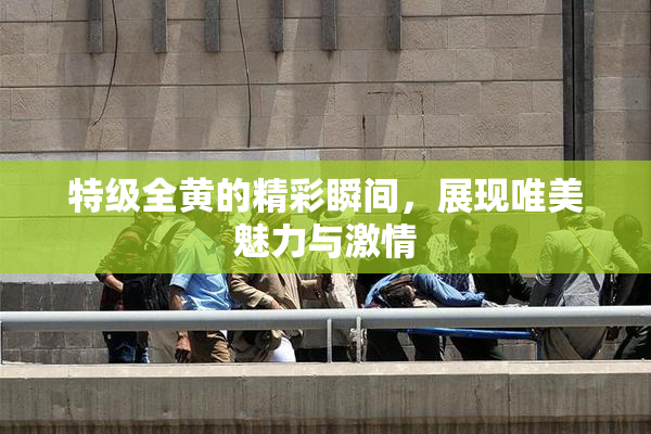 特级全黄的精彩瞬间，展现唯美魅力与激情