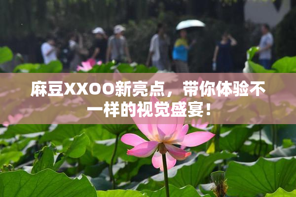 麻豆XXOO新亮点，带你体验不一样的视觉盛宴！