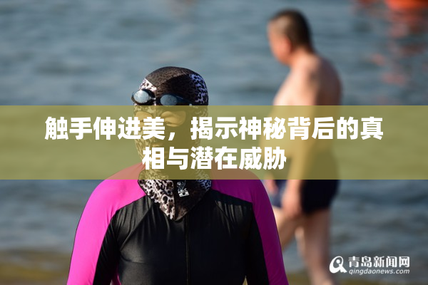 触手伸进美，揭示神秘背后的真相与潜在威胁