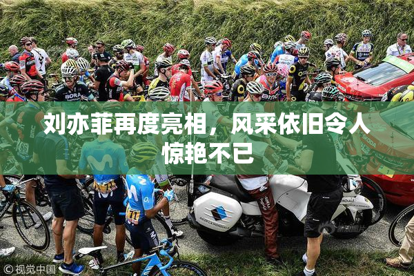 刘亦菲再度亮相，风采依旧令人惊艳不已