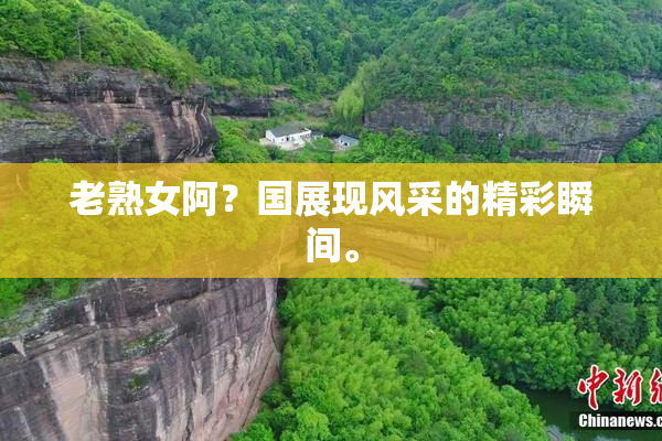 老熟女阿？国展现风采的精彩瞬间。