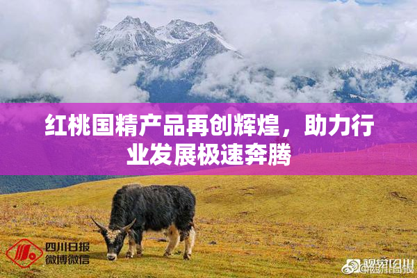 红桃国精产品再创辉煌，助力行业发展极速奔腾