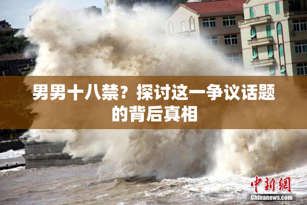 男男十八禁？探讨这一争议话题的背后真相