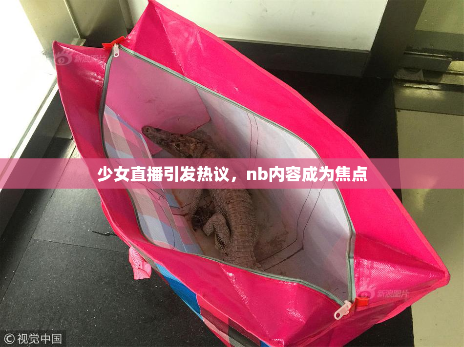 少女直播引发热议，nb内容成为焦点