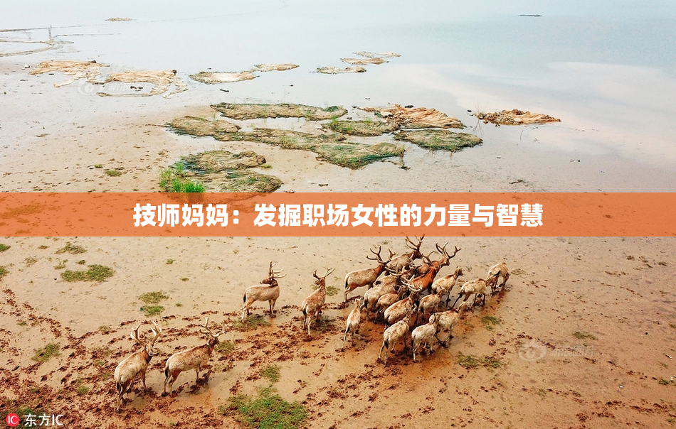 技师妈妈：发掘职场女性的力量与智慧