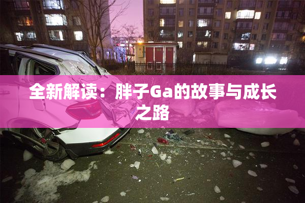 全新解读：胖子Ga的故事与成长之路