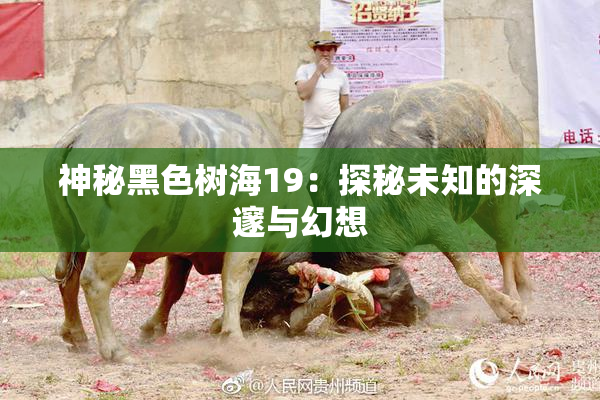 神秘黑色树海19：探秘未知的深邃与幻想