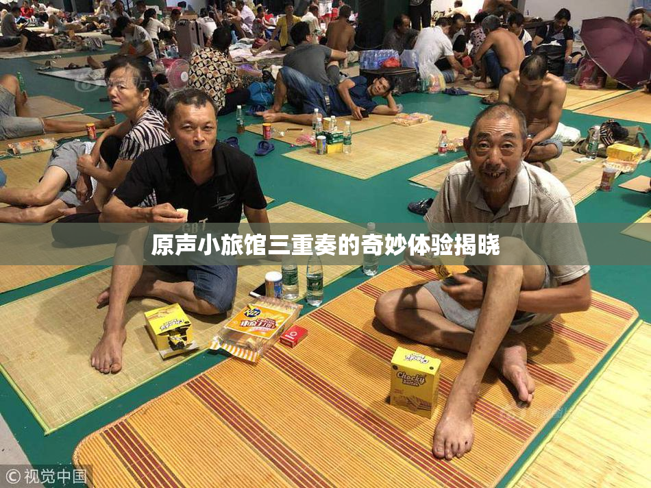 原声小旅馆三重奏的奇妙体验揭晓