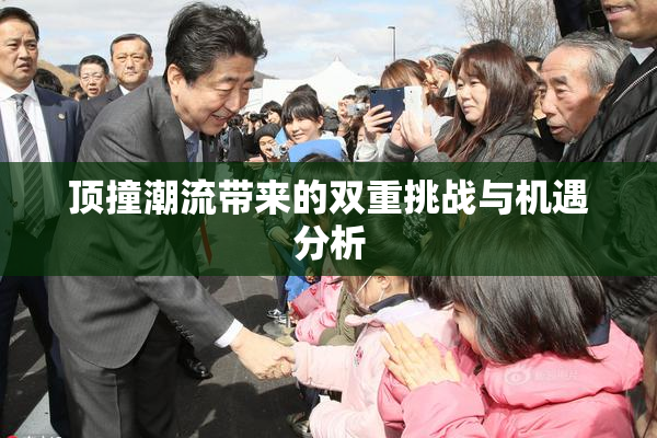 顶撞潮流带来的双重挑战与机遇分析