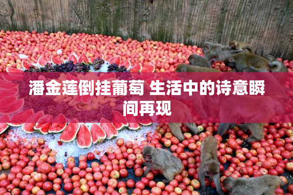 潘金莲倒挂葡萄 生活中的诗意瞬间再现