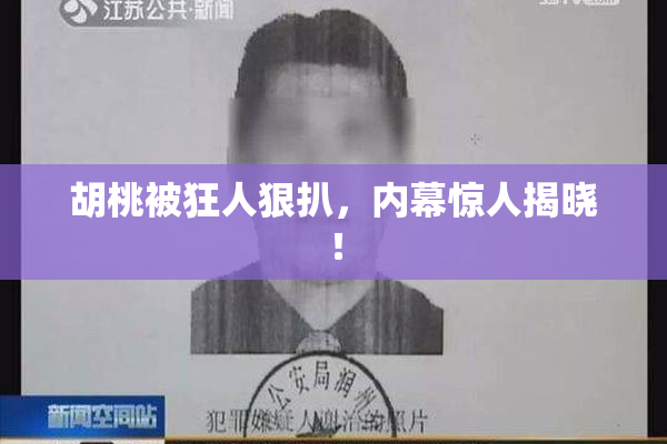 胡桃被狂人狠扒，内幕惊人揭晓！