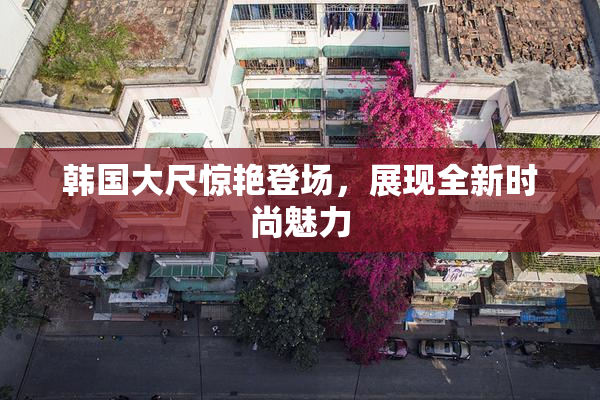 韩国大尺惊艳登场，展现全新时尚魅力