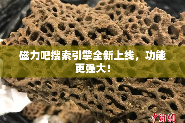 磁力吧搜索引擎全新上线，功能更强大！