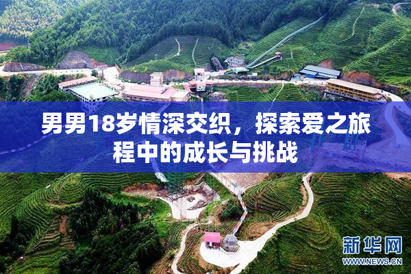 男男18岁情深交织，探索爱之旅程中的成长与挑战