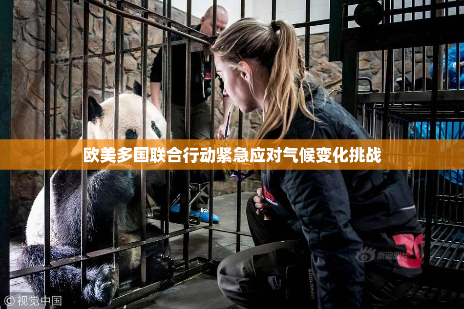 欧美多国联合行动紧急应对气候变化挑战
