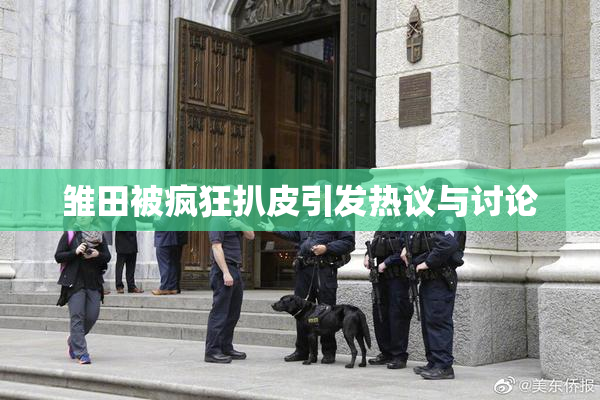 雏田被疯狂扒皮引发热议与讨论