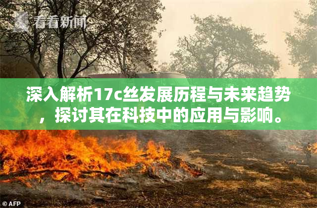 深入解析17c丝发展历程与未来趋势，探讨其在科技中的应用与影响。