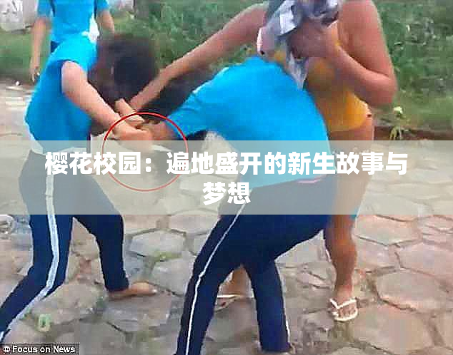 樱花校园：遍地盛开的新生故事与梦想