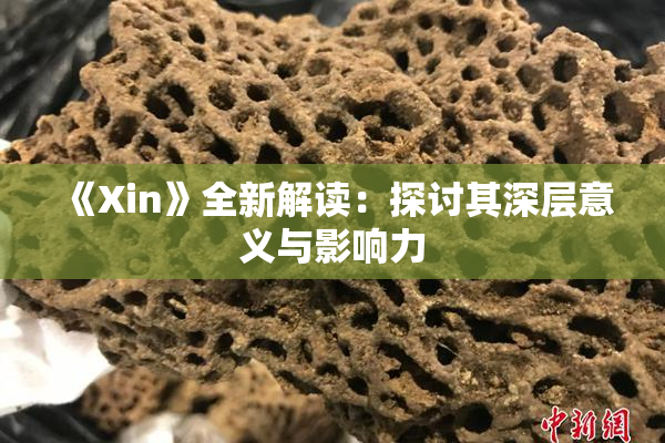 《Xin》全新解读：探讨其深层意义与影响力