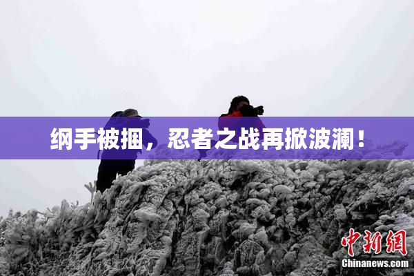 纲手被捆，忍者之战再掀波澜！