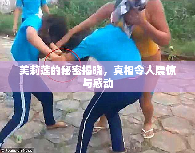 芙莉莲的秘密揭晓，真相令人震惊与感动
