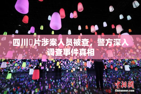 四川婬片涉案人员被查，警方深入调查事件真相