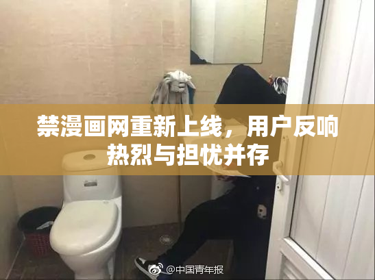 禁漫画网重新上线，用户反响热烈与担忧并存