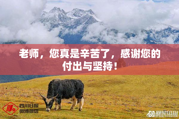 老师，您真是辛苦了，感谢您的付出与坚持！