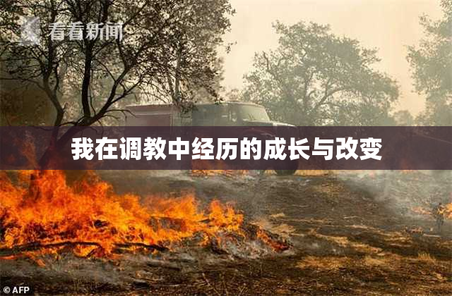 我在调教中经历的成长与改变