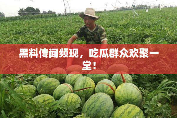 黑料传闻频现，吃瓜群众欢聚一堂！