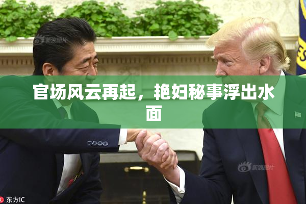 官场风云再起，艳妇秘事浮出水面