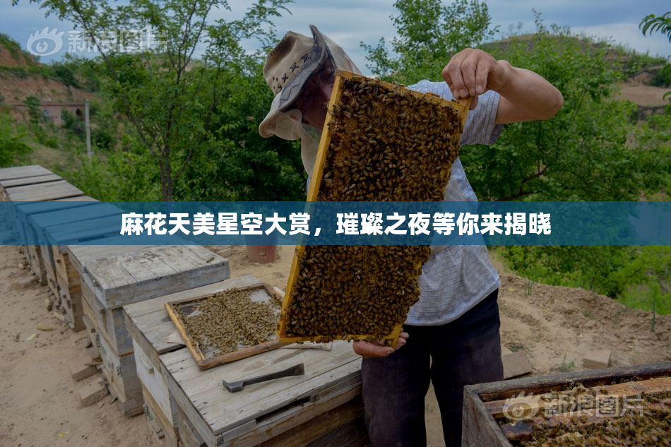 麻花天美星空大赏，璀璨之夜等你来揭晓